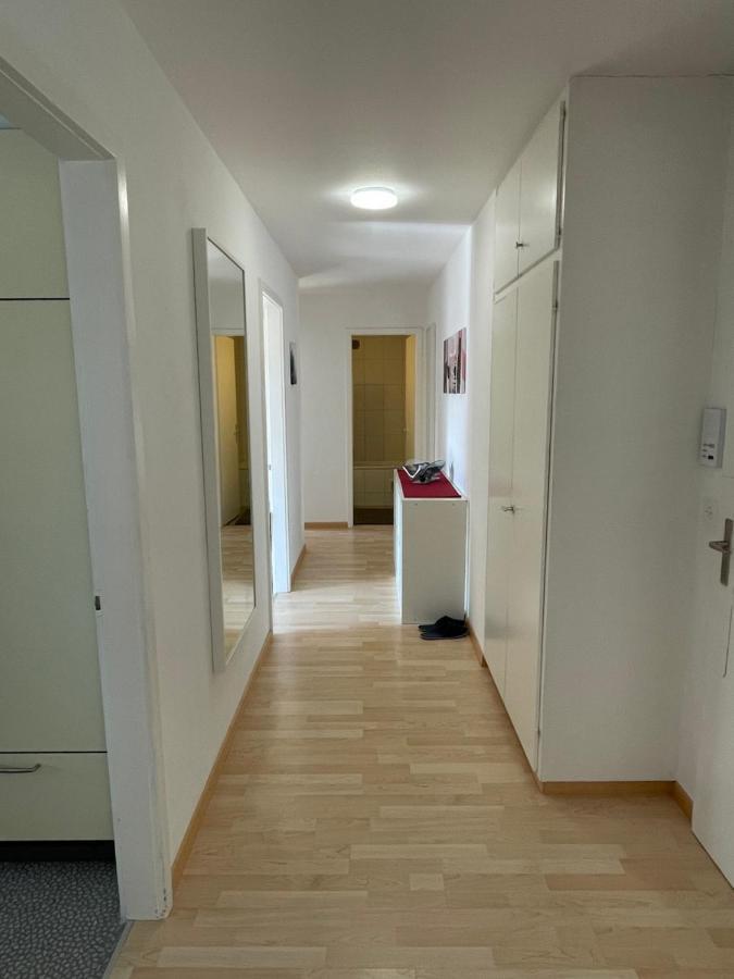 3-Room Apartment For Business Travelers & Families, Free Wifi & Tv With 70 Countries, Dazn, Sky, Netflix & Disney Wynau Ngoại thất bức ảnh